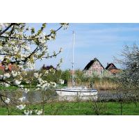 2600_1799 Kirschblüte im Alten Land - Bauernhäuser am Ufer der Lühe. | Fruehlingsfotos aus der Hansestadt Hamburg; Vol. 2